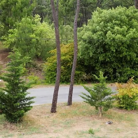 Entre Pinède Et Océan * Saint-Jean-de-Monts