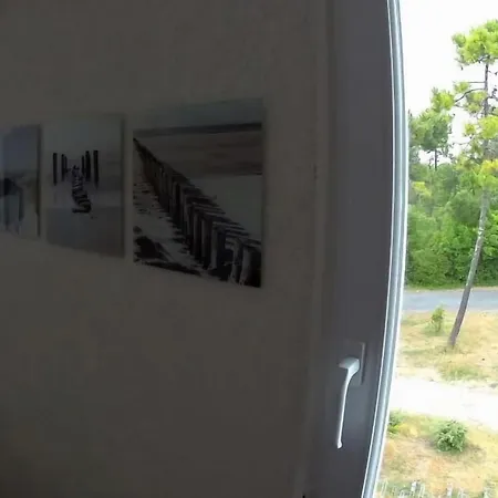 Entre Pinède Et Océan *