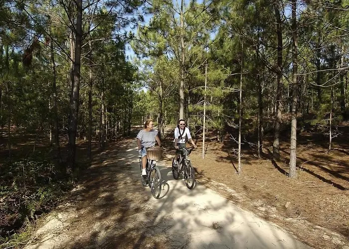 Entre Pinède Et Océan * Saint-Jean-de-Monts