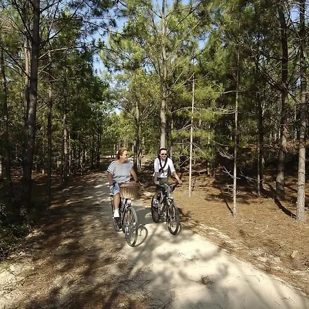 Entre Pinede Et Ocean * Saint-Jean-de-Monts