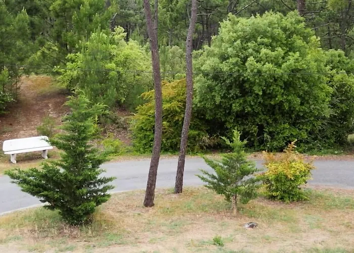 Entre Pinede Et Ocean * サン・ジャン·ド・モン